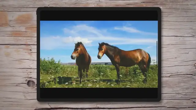 'Video thumbnail for How Long Does It Take To Travel By Horse?'