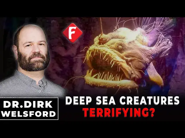 'Video thumbnail for The Deep Sea Creatures That Shouldn't Exist'