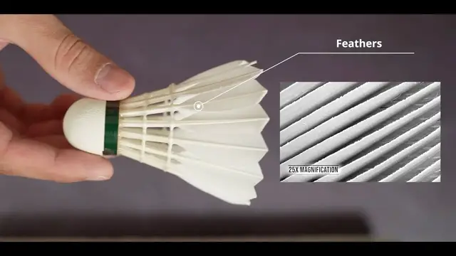'Video thumbnail for Badminton Shuttle Under the Microscope | Episode 2'