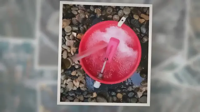 'Video thumbnail for How to Keep Chicken Water Clean'