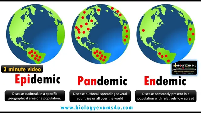 'Video thumbnail for Difference between Epidemic, Pandemic and Endemic Diseases with examples'