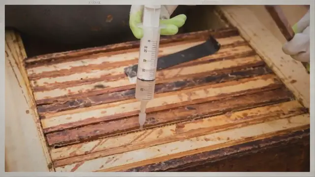 'Video thumbnail for Oxalic Acid and Honey Supers'