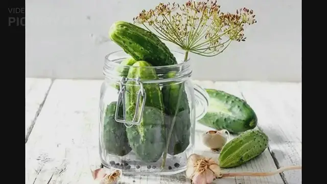 'Video thumbnail for Secret To Making Extra Crunchy Fermented Pickles'