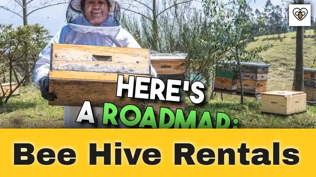 'Video thumbnail for Bee Hive Rentals: The Buzzing Business Revolution in Sustainable Farming'