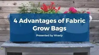 'Video thumbnail for 4 Advantages of Fabric Grow Bags'