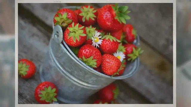 'Video thumbnail for Do Strawberries Need Full Sunlight?'