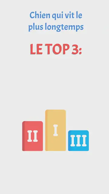'Video thumbnail for Chien qui vit le plus longtemps'