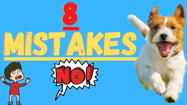 'Video thumbnail for Jack Russell Terriers (Avoid These 8 Critical Mistakes)'