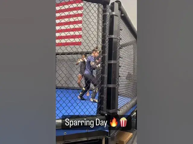 'Video thumbnail for Insane sparring day group at Weck Method. How many names can you spot? #WMMA #mma #ufc'