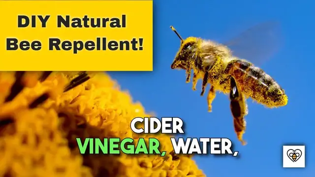 'Video thumbnail for DIY Natural Bee Repellent: Keep Bees at Bay the Eco-friendly Way!'