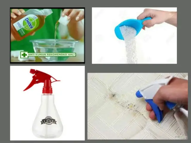 'Video thumbnail for How to kill bed bugs at home | How to control bed bugs at home | Bed bugs home remedy'