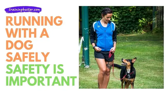 'Video thumbnail for Running With a Dog Safely - All you need to know'