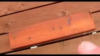 'Video thumbnail for Best Deck Sealer 2022 Preview'