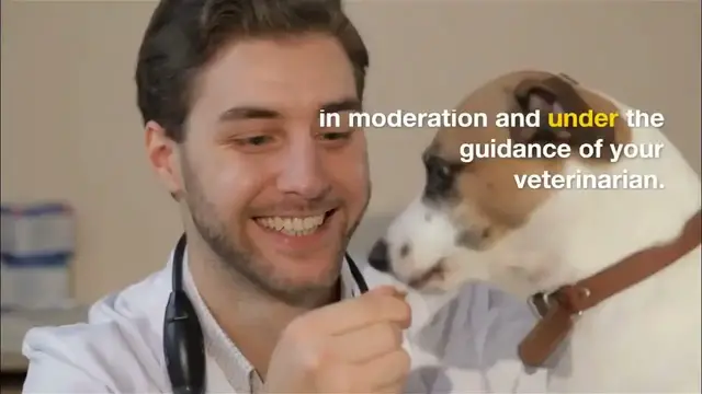 'Video thumbnail for ARE VEGGIES GOOD FOR DOGS'