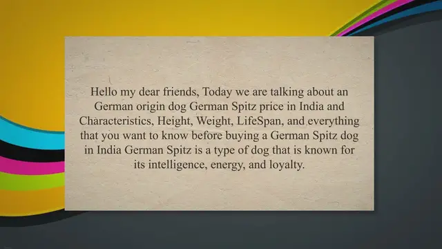 'Video thumbnail for German Spitz Price in India in 2022 | Characteristics & Lifespan'