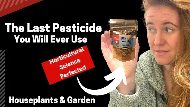 'Video thumbnail for How To Properly Apply Predatory Mites To Plants. Using Grub Grenade In The Garden & Indoors'