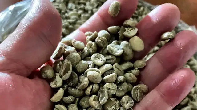 'Video thumbnail for Café 100% orgánico de altura Finca Argovia'