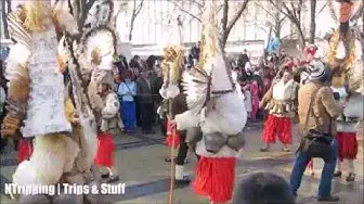'Video thumbnail for International Festival of Masquerade Games "Surva" - Pernik, Bulgaria'