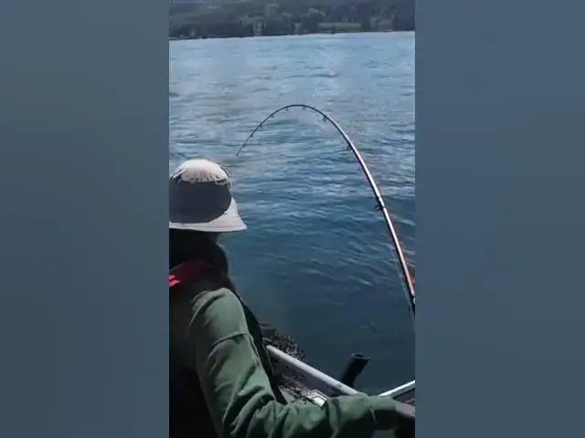 'Video thumbnail for When the Anchovy in a helmet spins perfectly you know it’s gonna be fish on in a minute!'