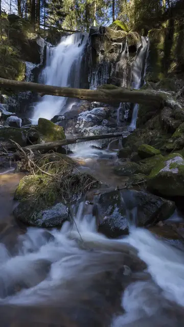 'Video thumbnail for Windbergschlucht bei Sankt Blasien'