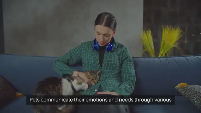 'Video thumbnail for Understanding Pet Body Language'