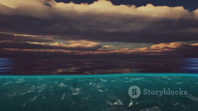 'Video thumbnail for Discovering the Wonders of Sea Fish: Nature’s Aquatic Marvels'