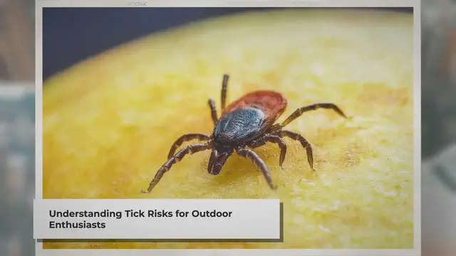 'Video thumbnail for Tick Safety: Prevention, Detection, and Removal Tips'