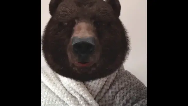 'Video thumbnail for Going on a Bear Hunt Storytelling'