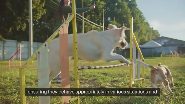 'Video thumbnail for Pet Obedience Training'