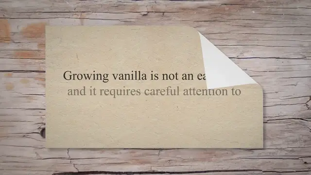 'Video thumbnail for [Beginners Guide] How To Grow Vanilla In Mexico'