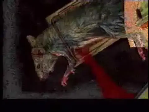 'Video thumbnail for BAD MOJO'
