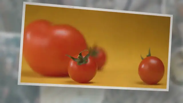'Video thumbnail for The Great Tomato Taste At Pursell Farms: An Evening To Savor'