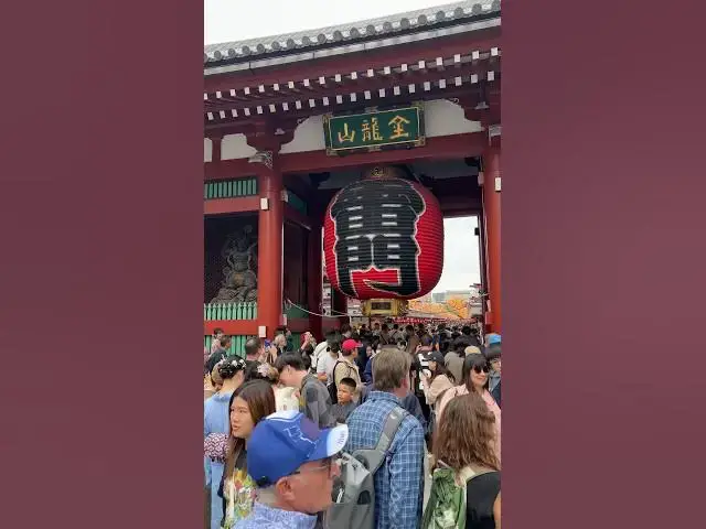 'Video thumbnail for Tokyo Japan: My Day 2 In Port #shorts #shorts'