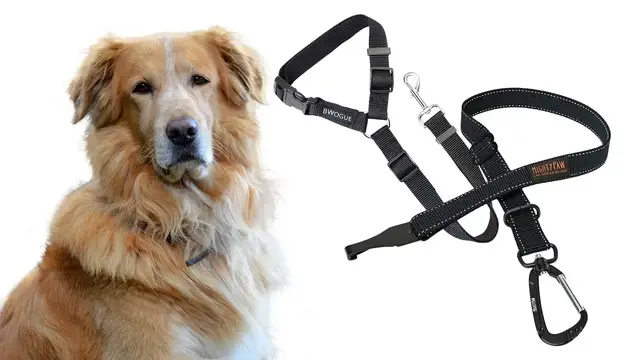 'Video thumbnail for Best Dog Seat Belts For Large Dogs - Best ones to use'