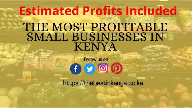 'Video thumbnail for Most Profitable Small Businesses in Kenya (Estimated Profits Included)'