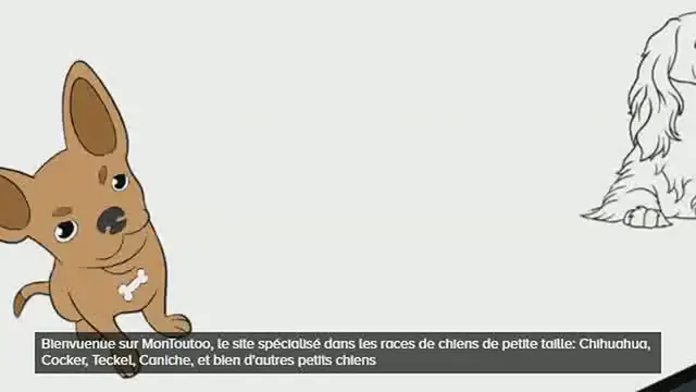 'Video thumbnail for MonToutoo'