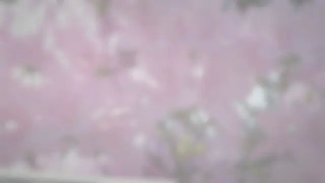 'Video thumbnail for Do azaleas attract bees?'