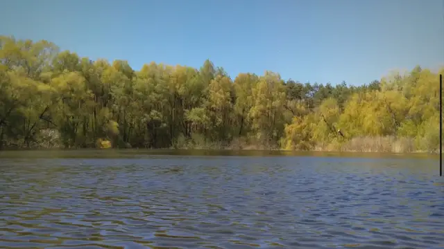 'Video thumbnail for Guide To Freshwater Fishing Lakes, By State'