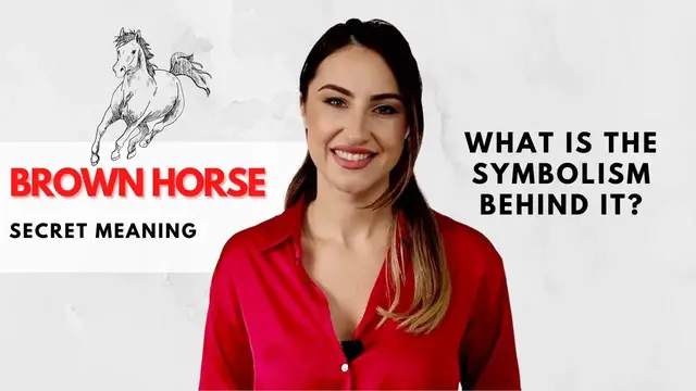 'Video thumbnail for Brown Horse - What Is The Symbolism Behind It?'