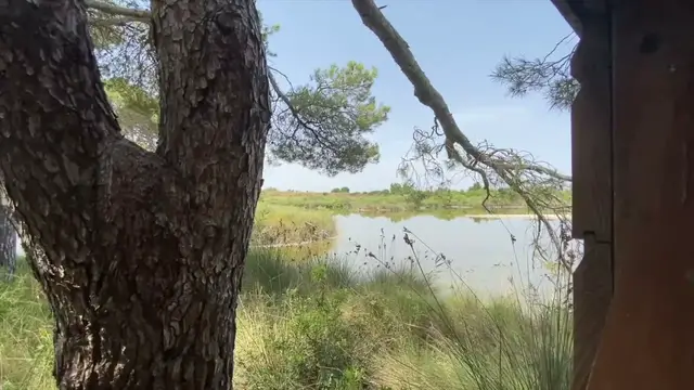 'Video thumbnail for Albufera Natural Park In Valencia: Center for Interpretation'