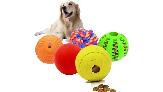 'Video thumbnail for Choosing the best interactive toys and food puzzles'