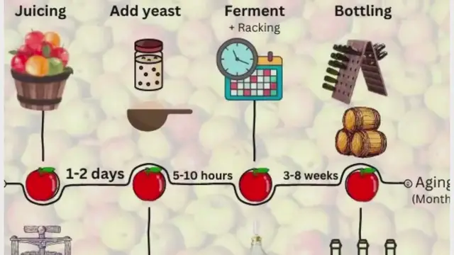'Video thumbnail for CiderMakingTimeline'