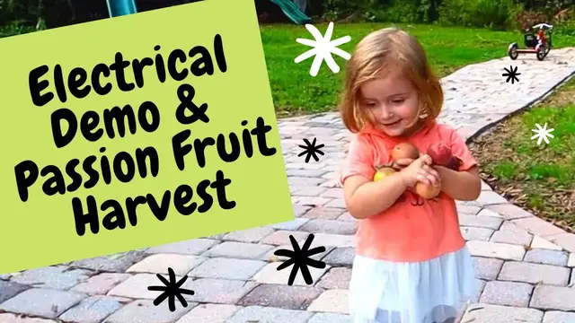 'Video thumbnail for Skoolie Electrical demo + Passion fruit hunt with kids | SKOOLIE VLOG 5'