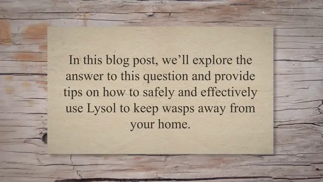'Video thumbnail for Does Lysol Kill Wasps? Our Thoughts'
