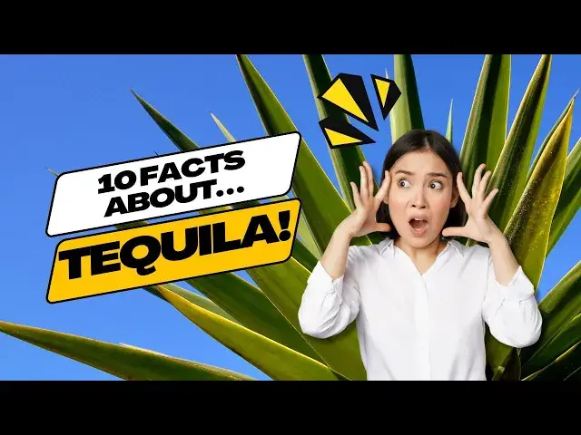 'Video thumbnail for 10 Surprising Facts About Tequila! (full) #mexico #trivia'