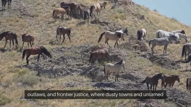 'Video thumbnail for Wild West Board Games'