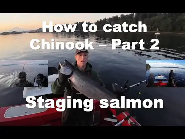 'Video thumbnail for How to CATCH Chinook Part 2  - Staging Salmon - 6 TIPS'