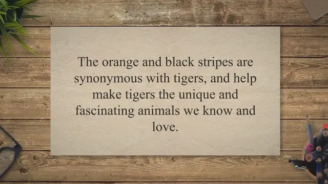 'Video thumbnail for Why Are Tigers Orange? (Interesting Color)'