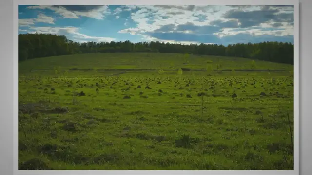 'Video thumbnail for How to deal with Bad Quality Bumpy Soccer Fields'
