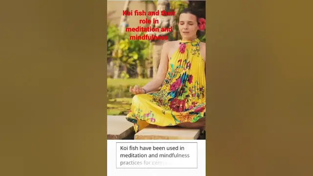 'Video thumbnail for Koi fish and their role in meditation and mindfulness'